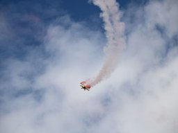 rodenberg2025 63